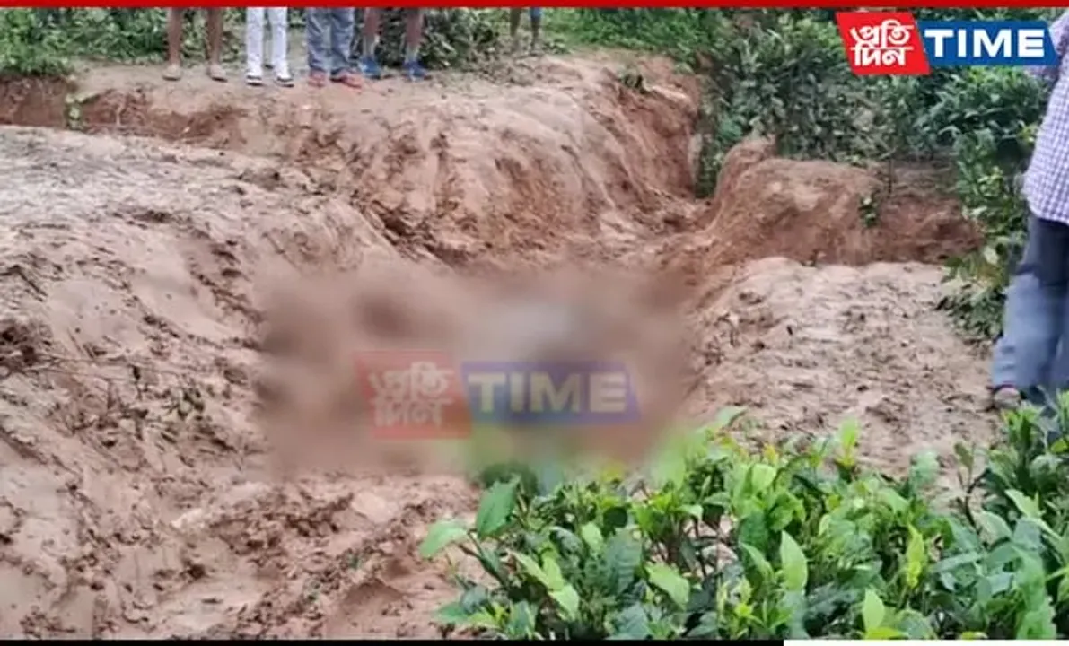 Elephant Calf Found Dead At Dhendai Tea Estate In Assam
