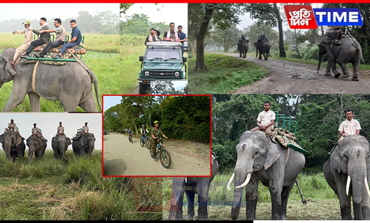 Kaziranga National Park Welcomes Visitors with Expanded Safari Options