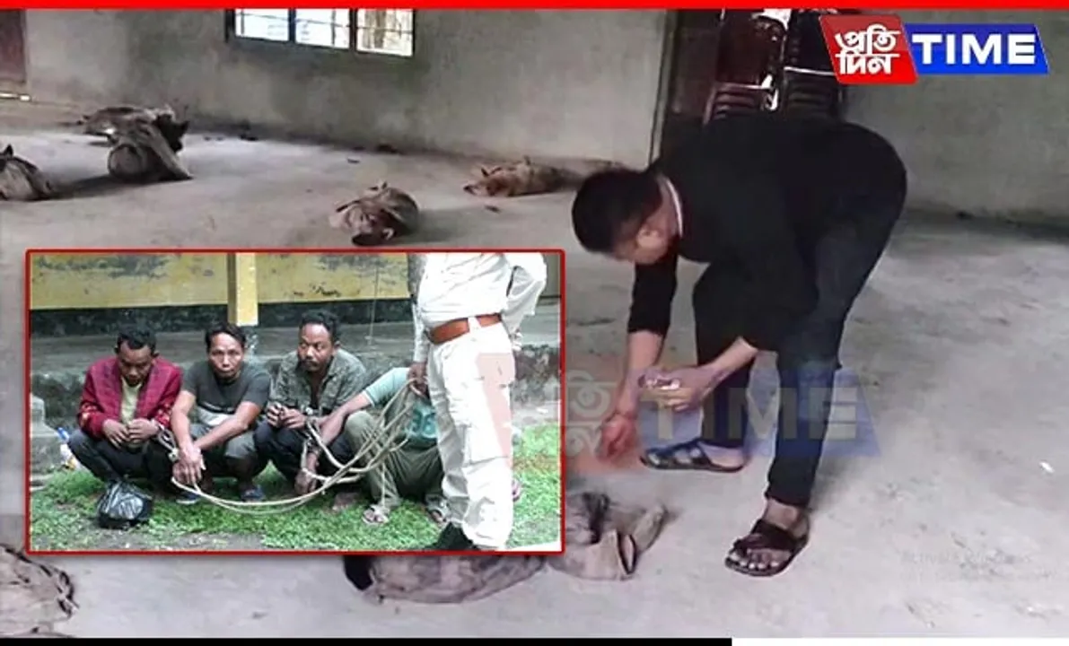 19 Dogs Rescued from Smugglers in Assam's Darrang, 4 Arrested, 6 at Large