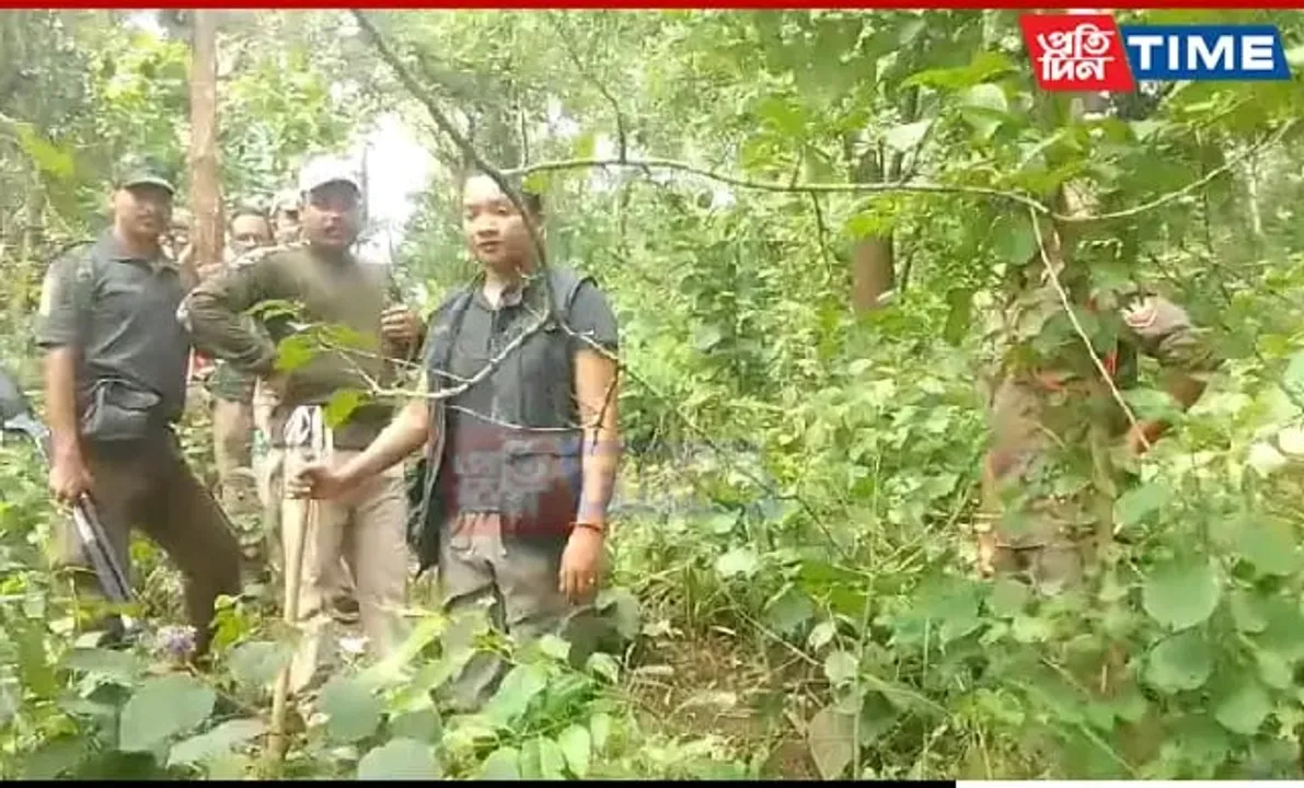 Guwahati: Probe Ordered After Decaying Elephant Carcass Found At Rani