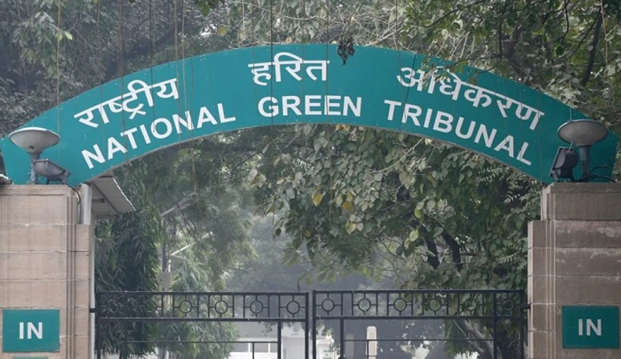 NGT Urges to Form New Committee on Big Dam