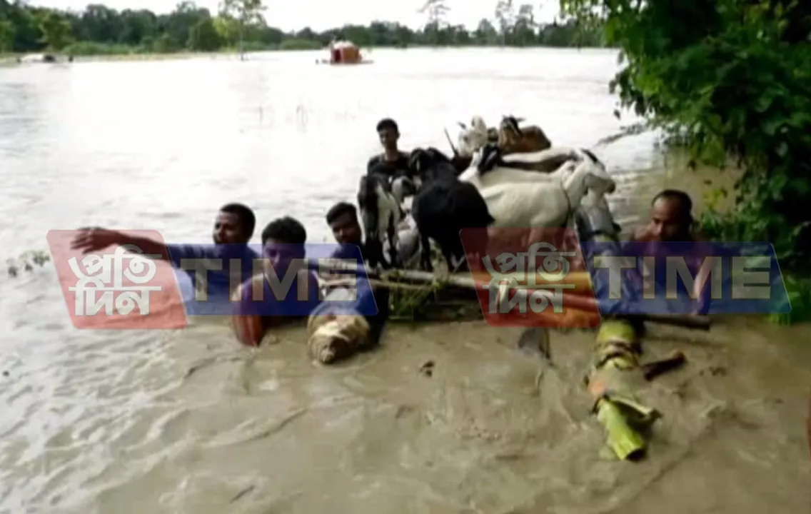 No let up in Assam’s flood situation, Golaghat’s situation worsening
