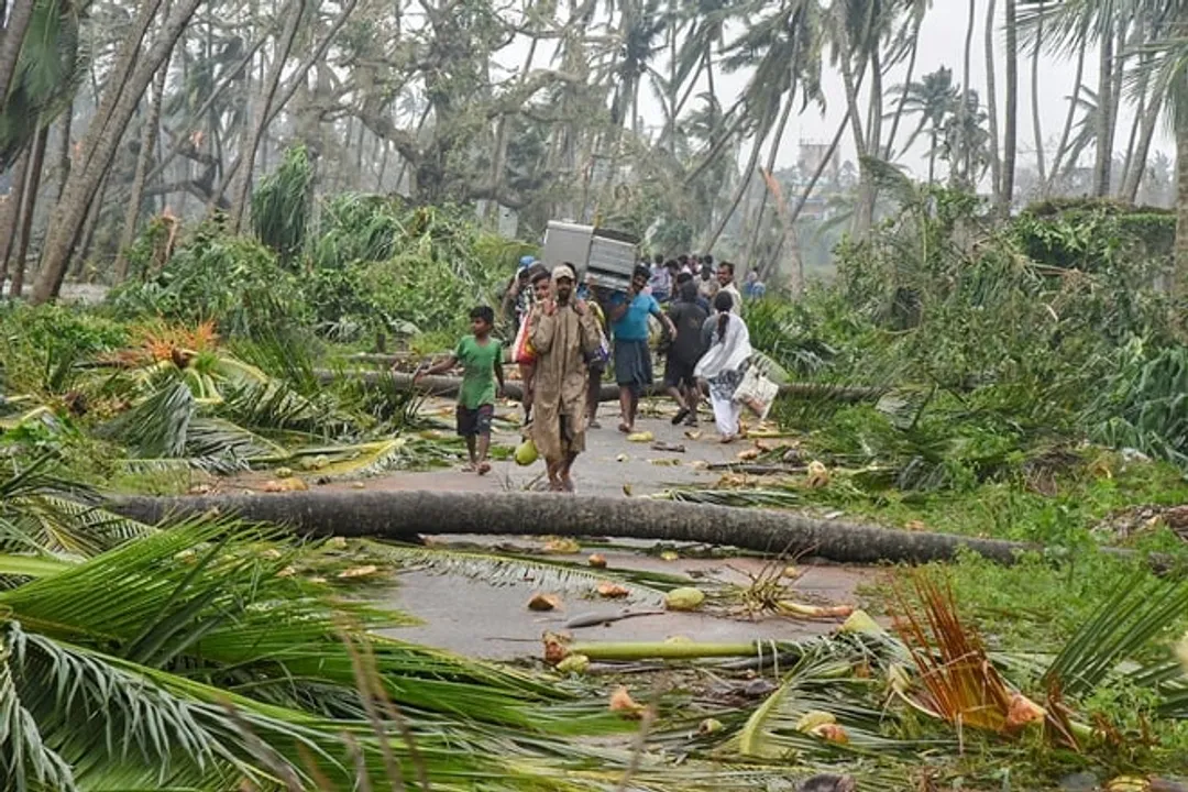 Cyclone Titli : Toll rises to 12