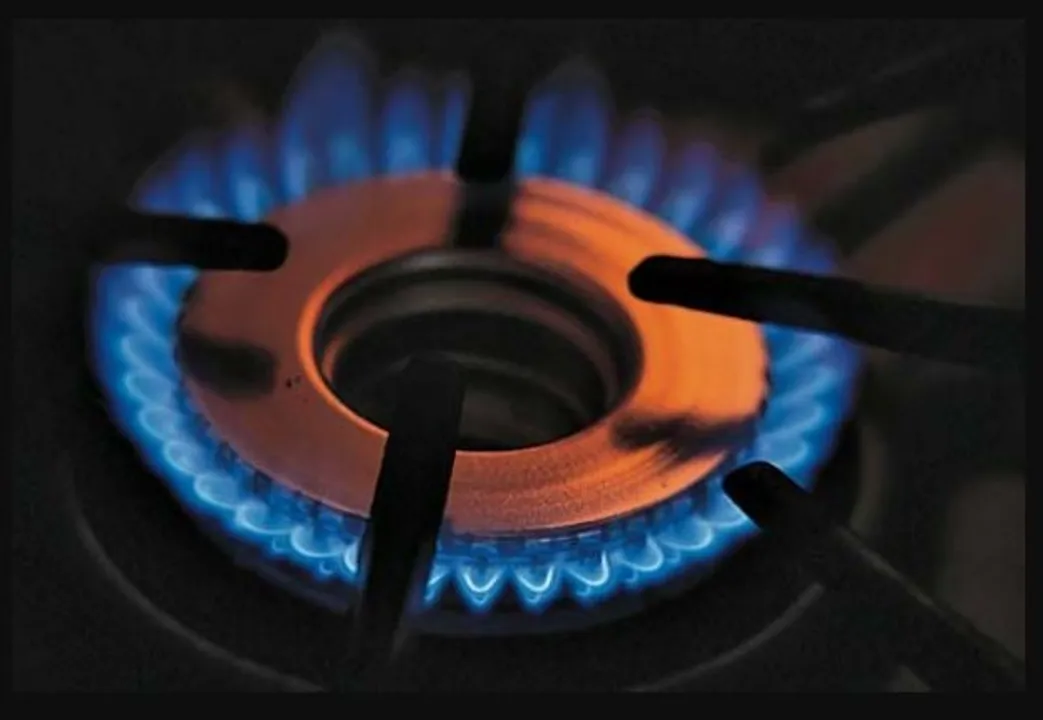 Methanol-based fuel for Assam