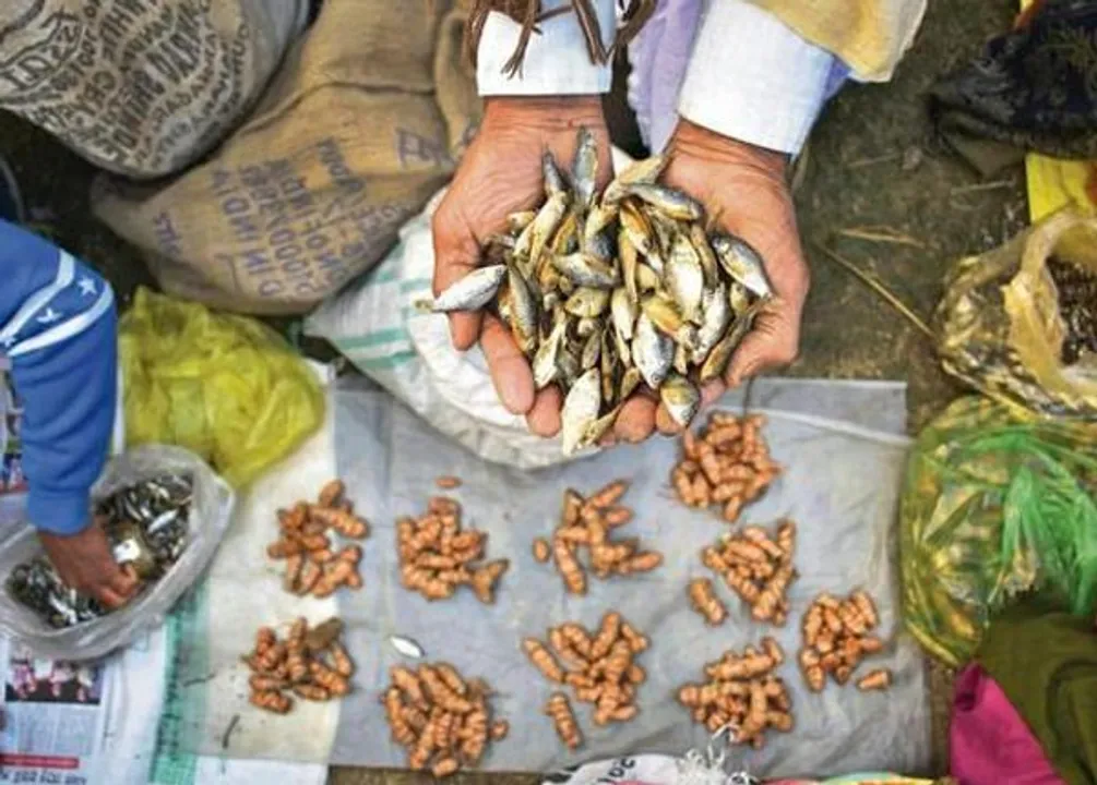 Famous Jonbeel Mela starts