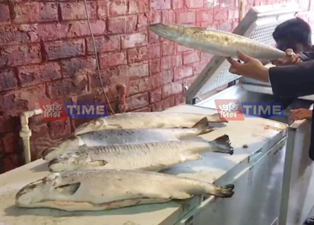 Salmon makes appearance for Bihu