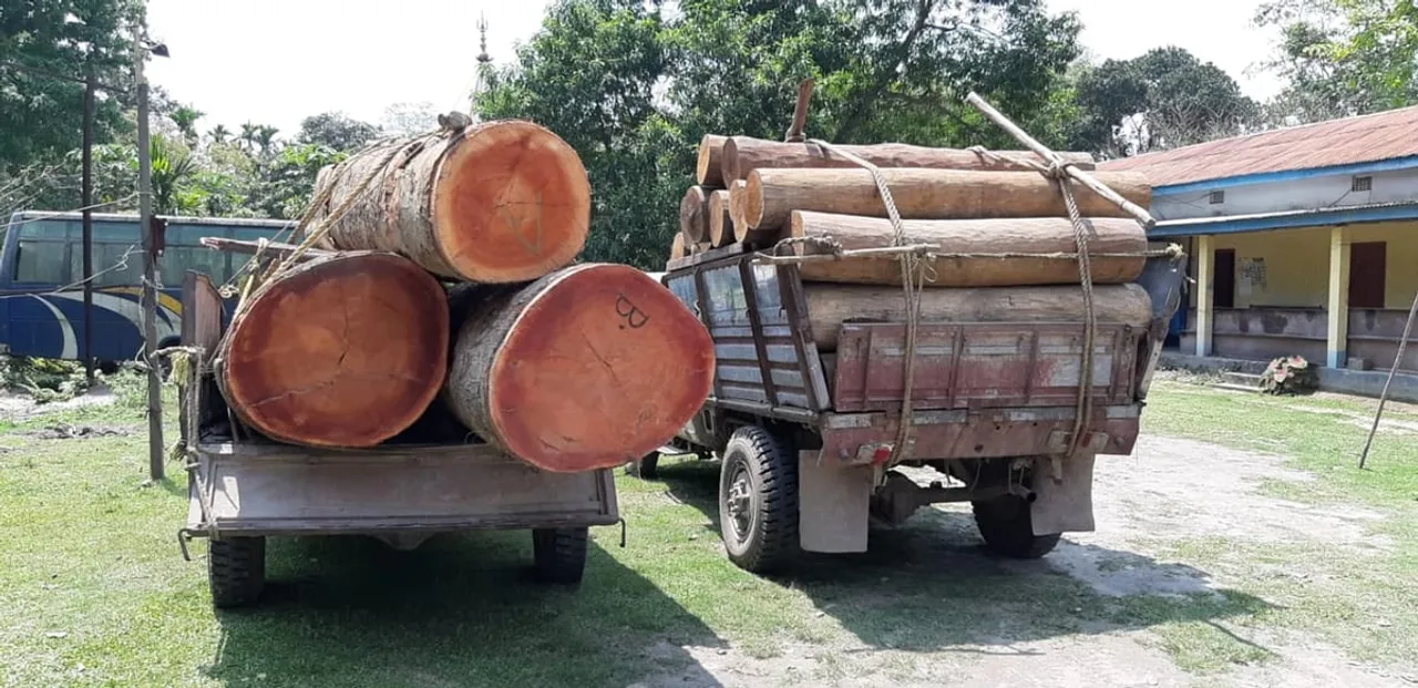 Smuggled timber seized in Chirang