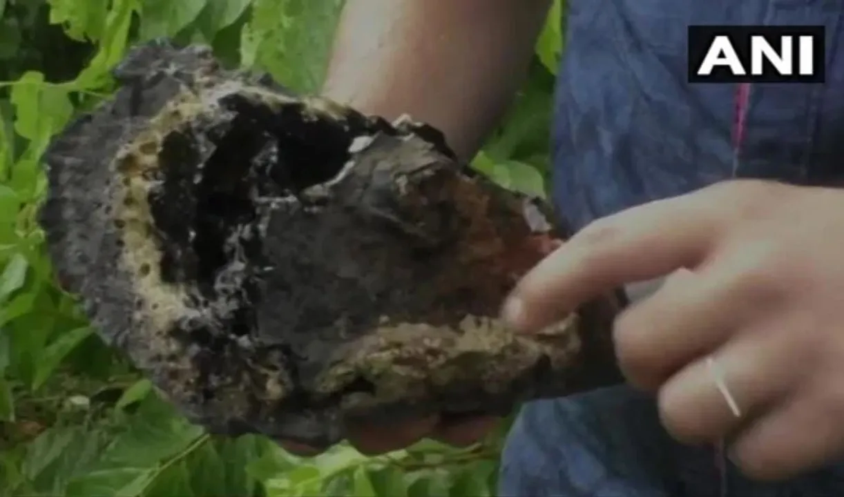 Lava type inflammable liquid sparks sensation in Tripura