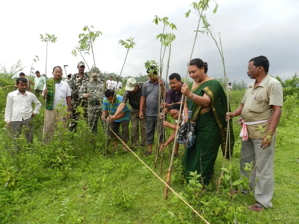 Assam celebrates World Environment Day
