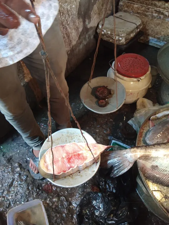 Action against 28kg Barali fish seller