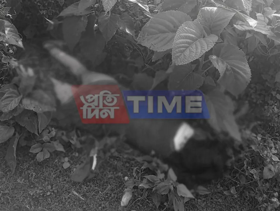 Woman rescued from a ditch in Raha
