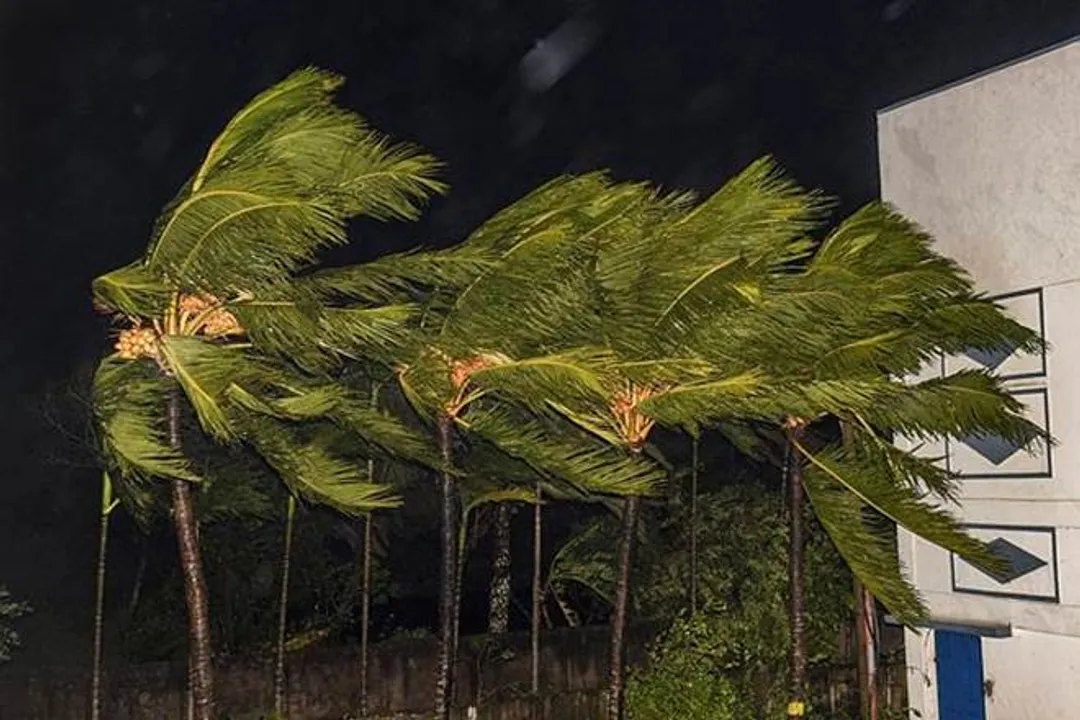 Cyclone Bulbul crosses West Bengal coast