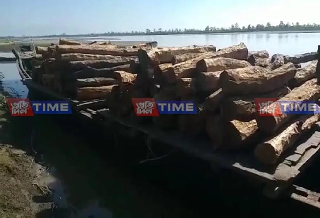 Smuggled wood seized in Sadiya