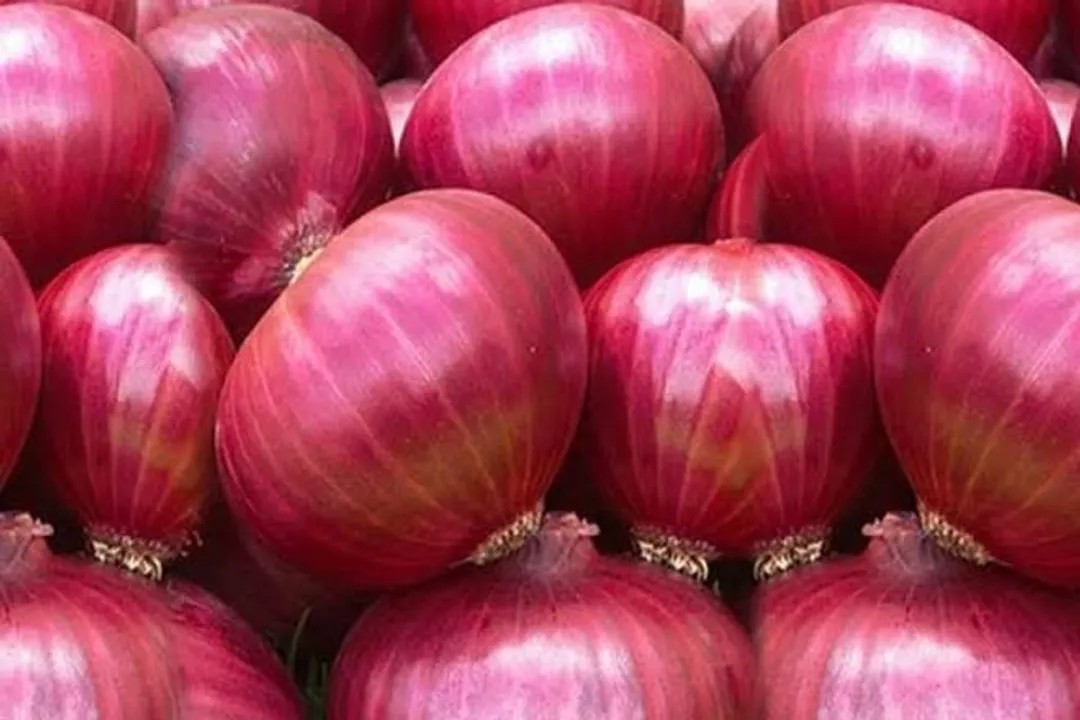 Central Govt to Offload 50,000 Tonnes of Onions to Guwahati