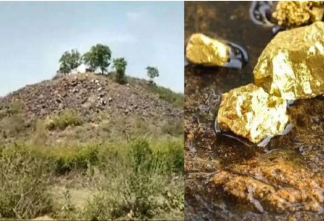 160 kg gold in Sonbhadra, not 3,350 tonnes: GSI rejects claims