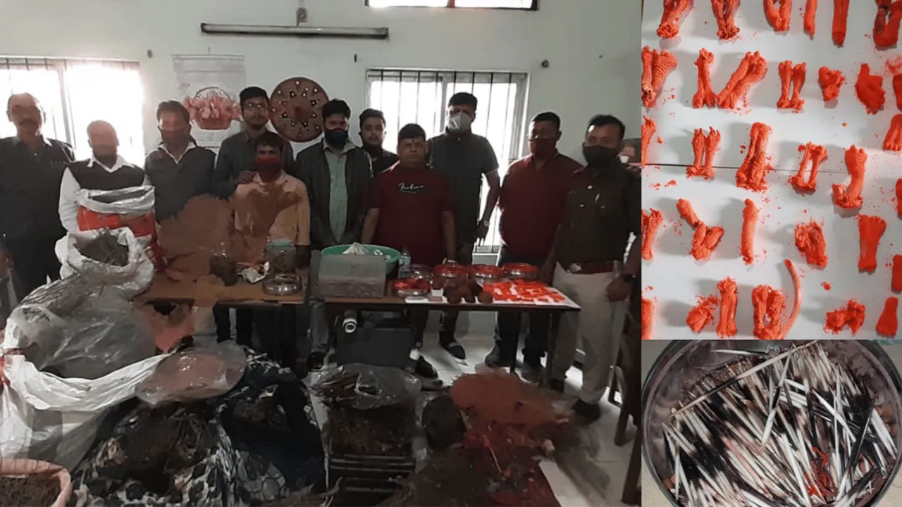 Animal Skin, Organs Seized From Kamakhya Temple