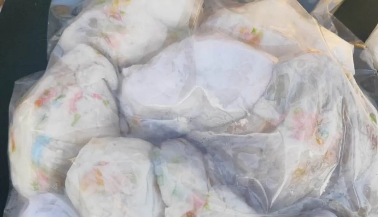 Mizoram: Assam Rifles Seizes Tortoises, Reptiles
