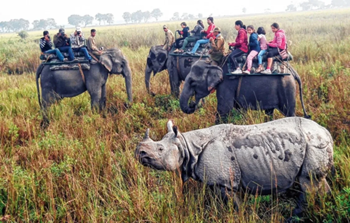 Assam Witness Highest Tourist Inflow in 5 Years: Report