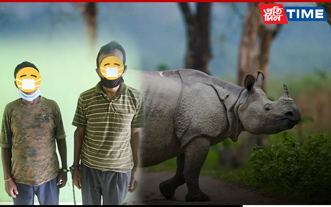 2 Forest Personnel Held For Illegal Possession Of Rhino Horn