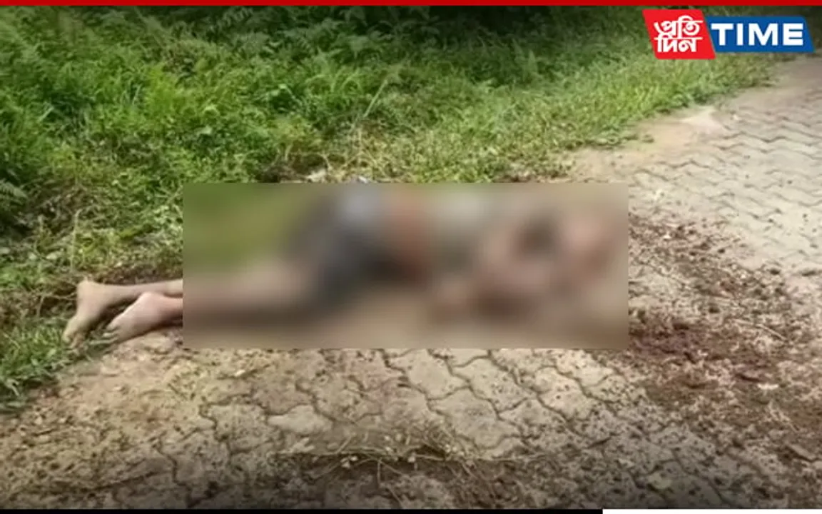 Wild Elephant Kills 1 In Guwahati