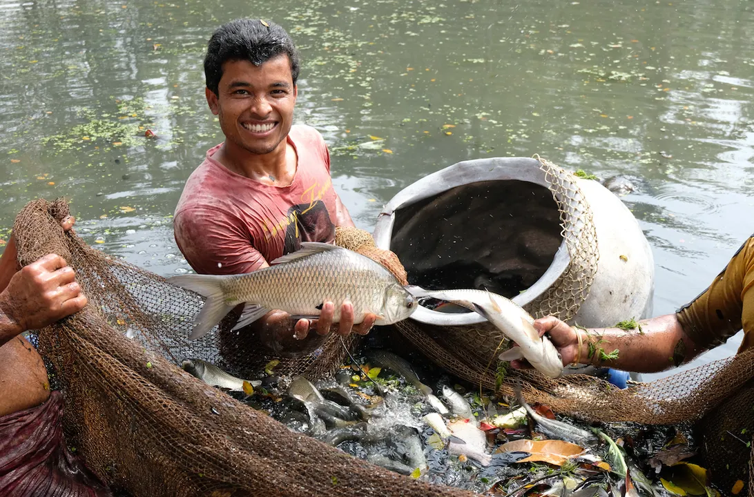 Assam Govt Suggests 2,000 Ponds For Fish Production