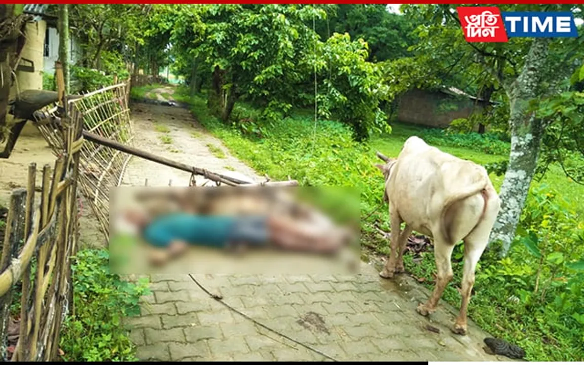 Morigaon: Farmer And His Cow Dies Of Shock From Broken Electric Wire On Road