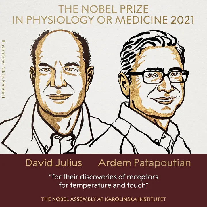 Nobel Prize for Medicine Awarded to US Scientists David Julius & Ardem Patapoutian