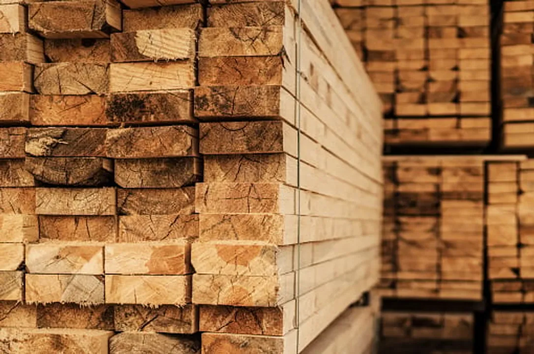 2 Vehicles Carrying Illegal Wood Seized By Bokakhat Police
