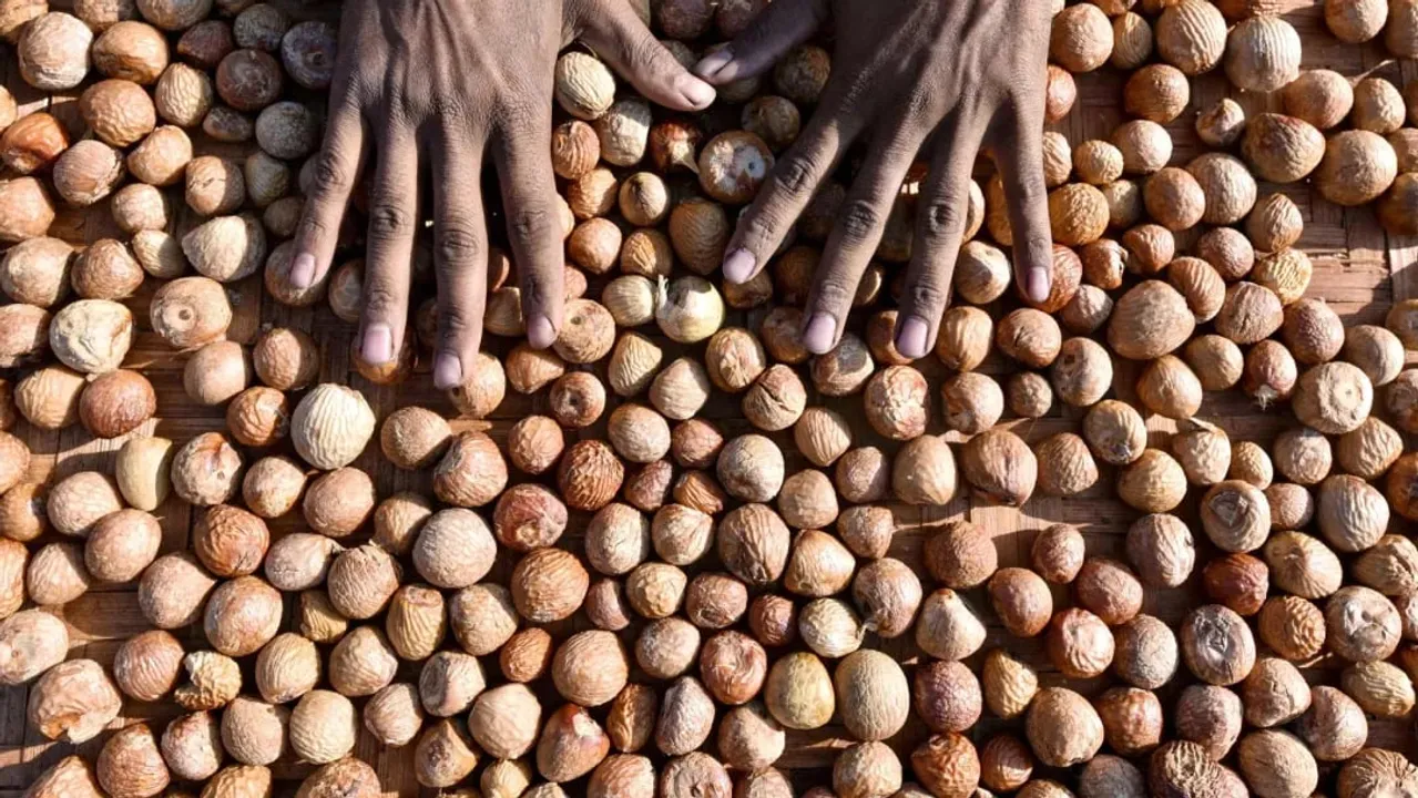 Assam: 2 Held For Robbing Man Off ₹9 Lakhs Worth Areca Nuts