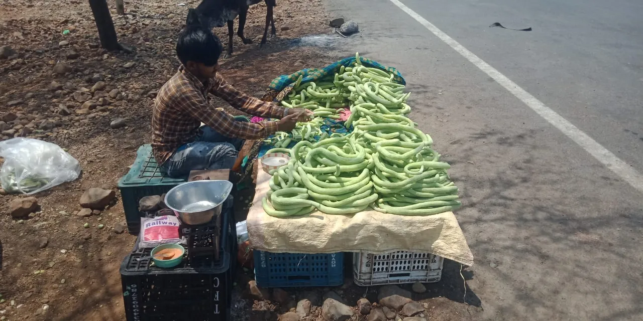 SHG selling cucumber