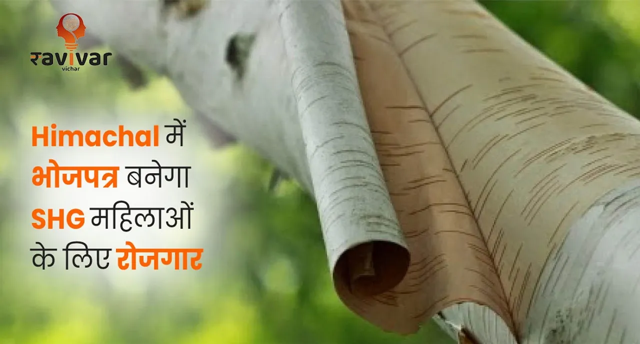 Himachal में भोजपत्र  Banner