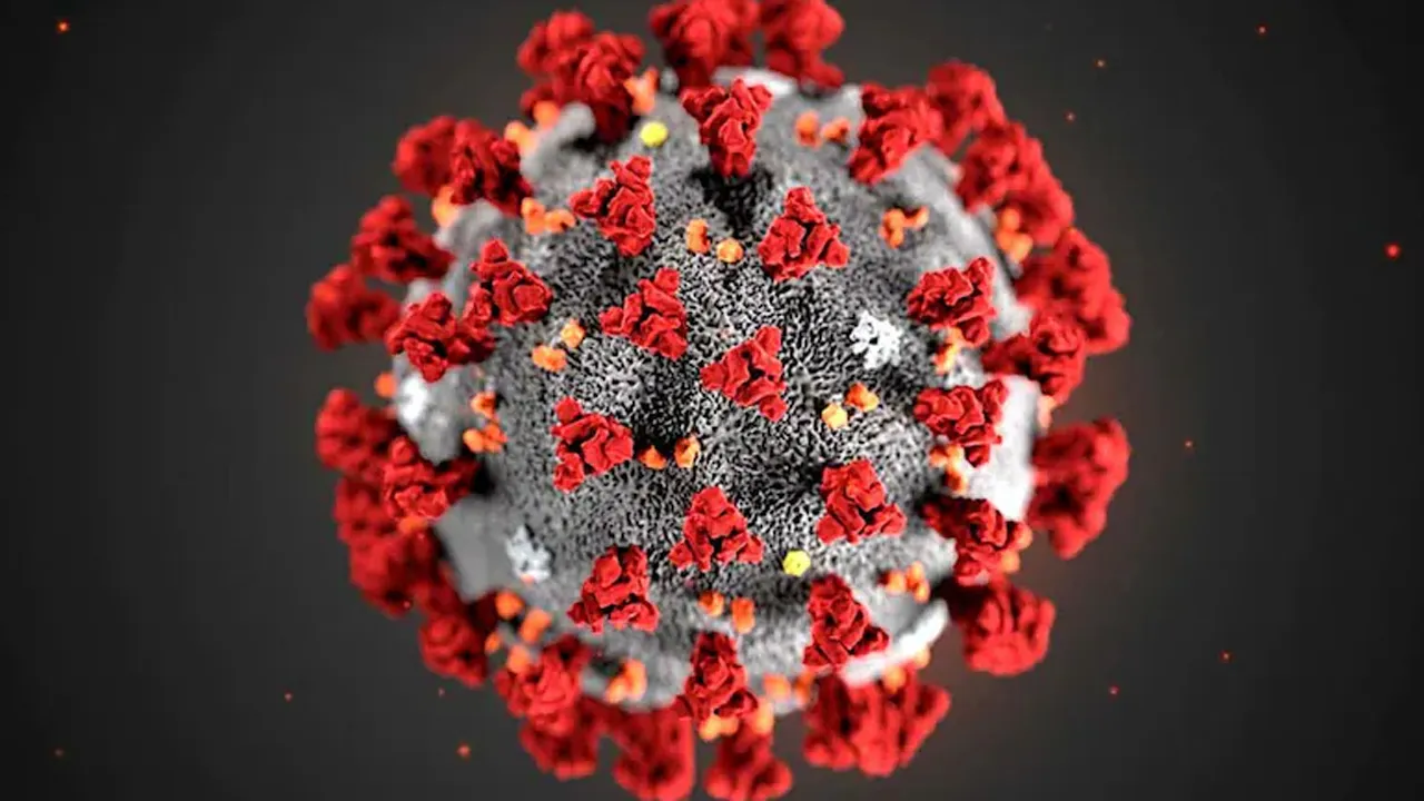 corona-virus