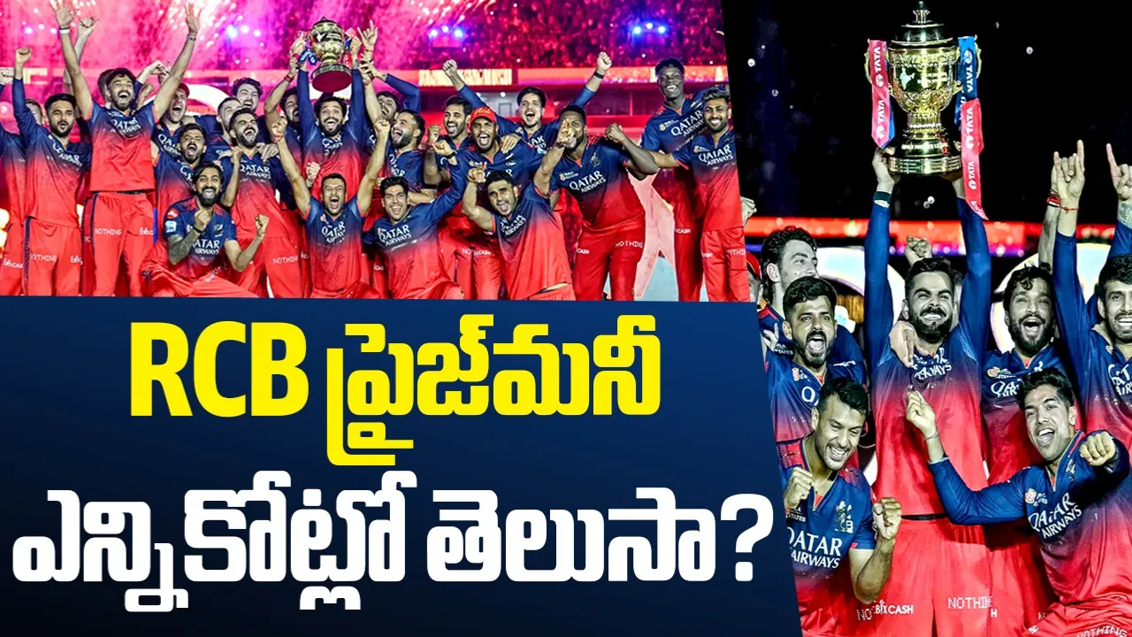 IPL