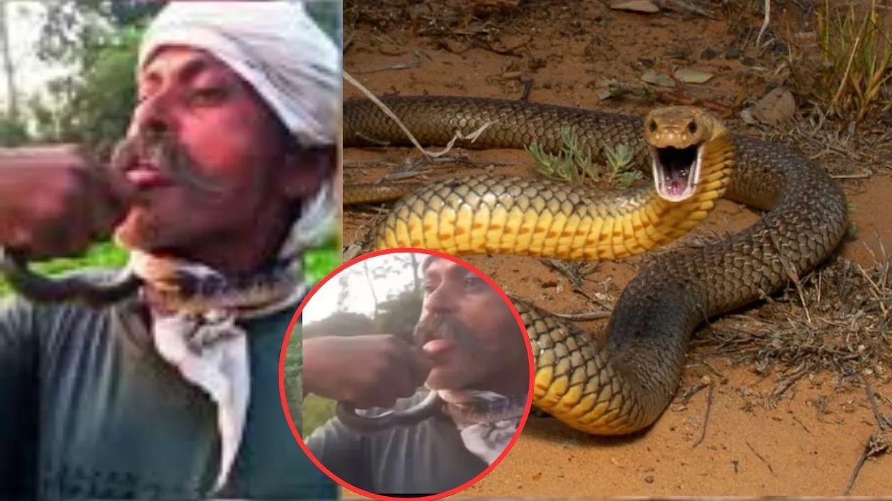 UP man tries to kiss snake for reel, gets bitten