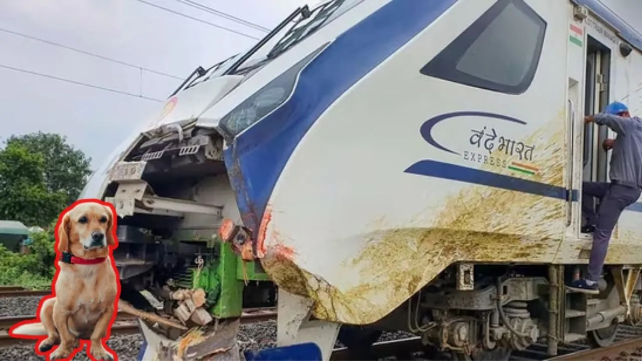vande bharat express hits a dog in chirala andhra pradesh