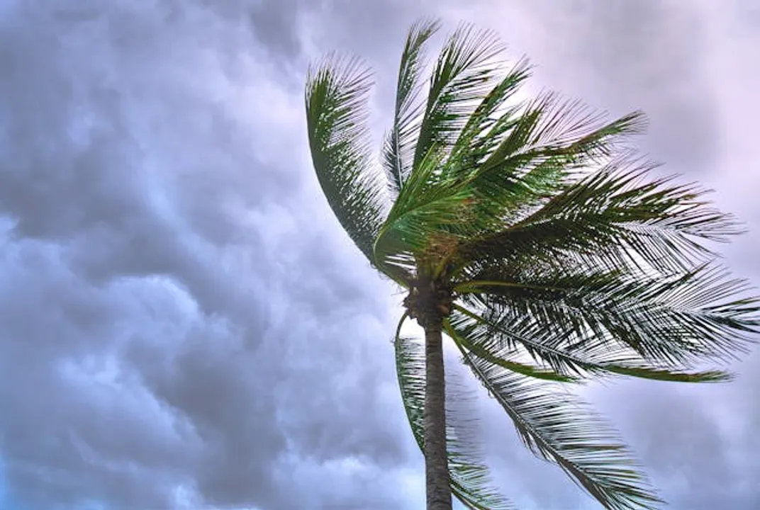  Cyclone to hit Odisha? Most models indicate movement of system towards Odisha coast, says IMD