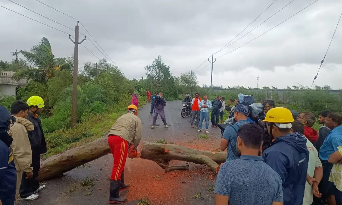  Cyclone Dana in Odisha: Electricity to be restored by 6 PM, road clearance by 1 PM, says CM