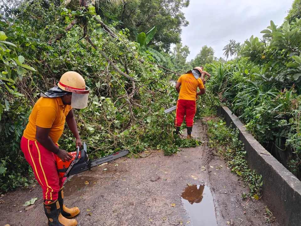  Landfall of Cyclone Dana complete, system to weaken gradually: IMD