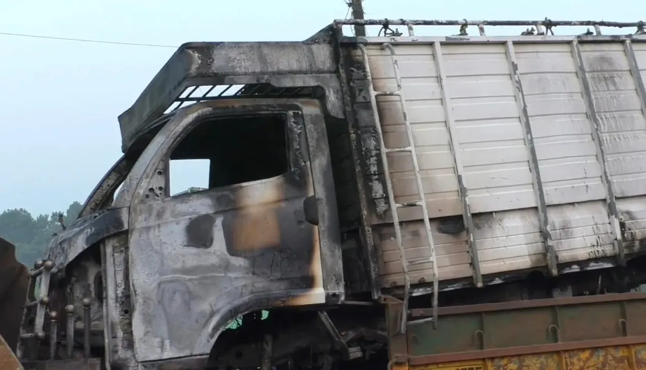  Cow Burnt Alive as Cattle-Laden Van Overturns in Odisha’s Mayurbhanj