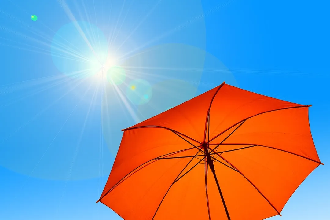  2024 to become hottest year ever, say EU scientists