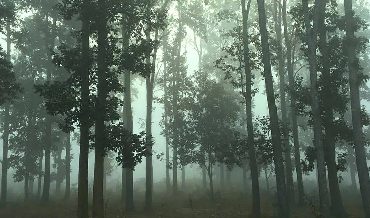  Odisha shivers under intense cold wave; Rourkela coldest place at 5.7 degree C