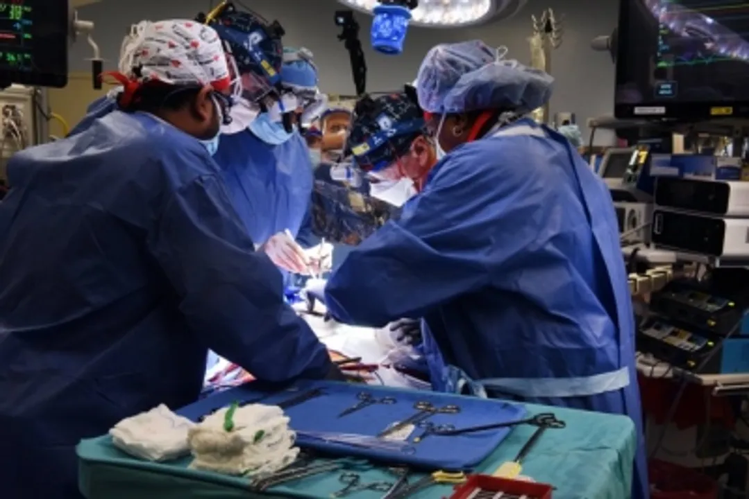  US surgeons complete fifth gene-edited pig organ transplant