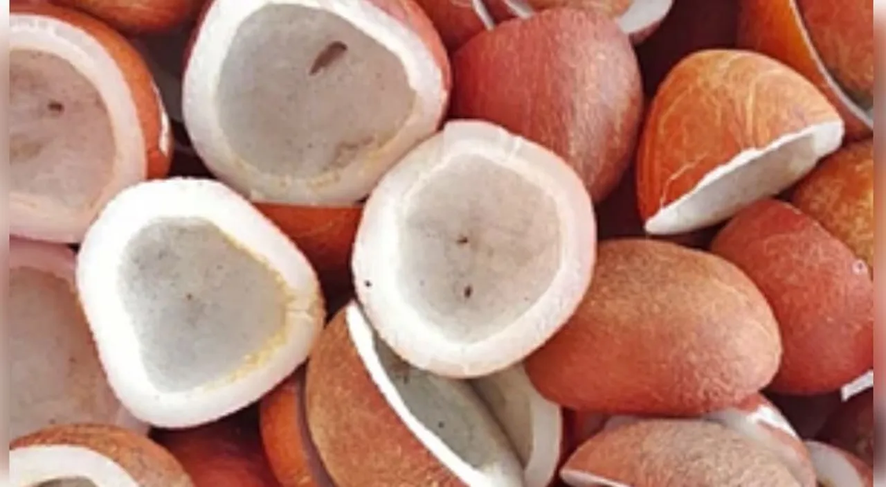 Cabinet hikes MSP for Copra to Rs 12,100 per quintal