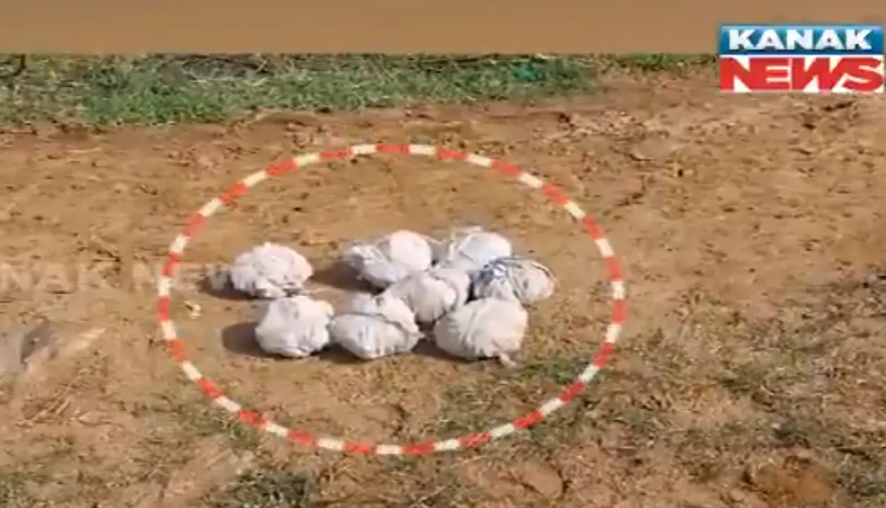  Bombs found near Odisha minister’s house; probe begins