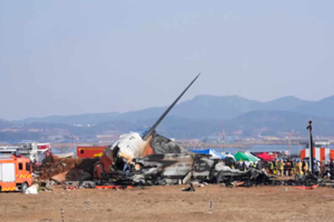  Bird strike or mechanical glitch? Jeju Air crash prompts questions over exact cause