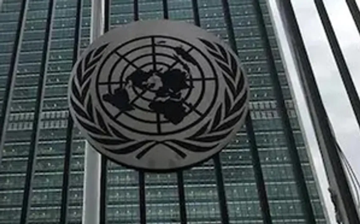  Five countries assume responsibilities as elected members of UN Security Council