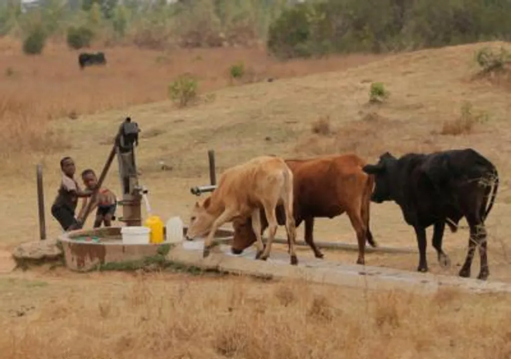  World Bank warns Zimbabwe on climate-induced economic losses