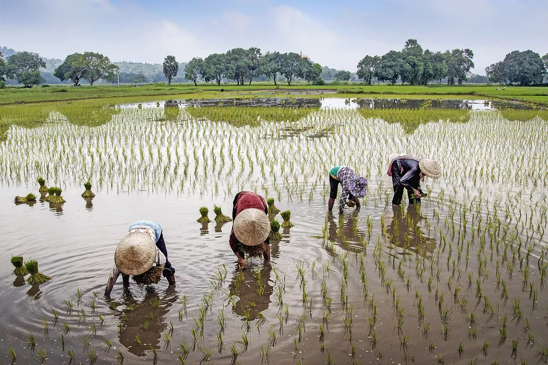  Odisha tops in the country in watershed fund utilisation