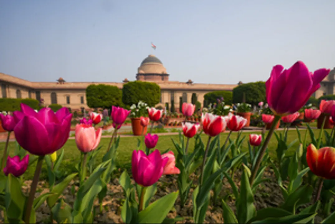  Amrit Udyan at Rashtrapati Bhawan opens for public viewing
