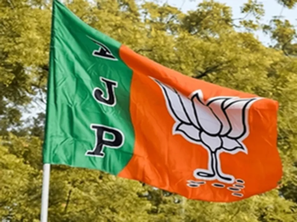  Are you LoP or Nishan-e-Pakistan: BJP to Rahul Gandhi on Op Sindoor remarks